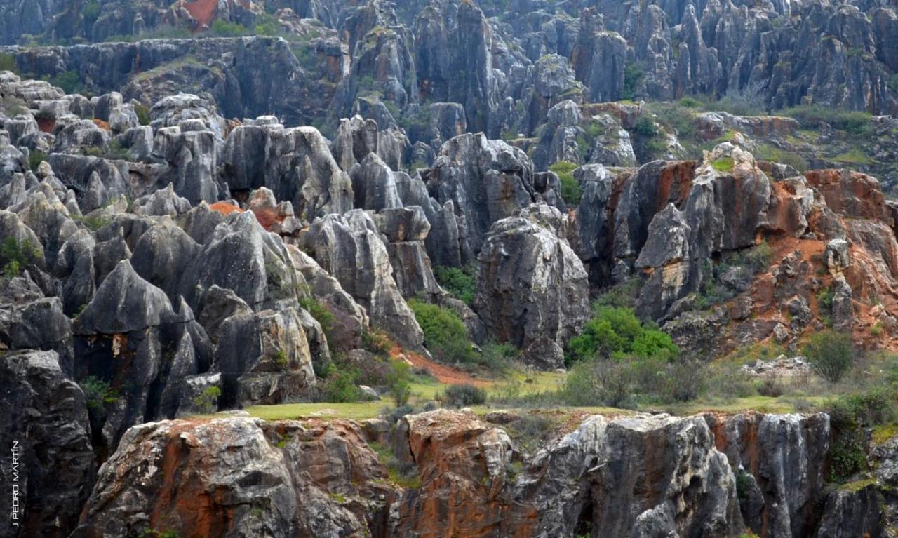 Finca Rural Labriega Del Hueznar Cazalla de la Sierra Dış mekan fotoğraf