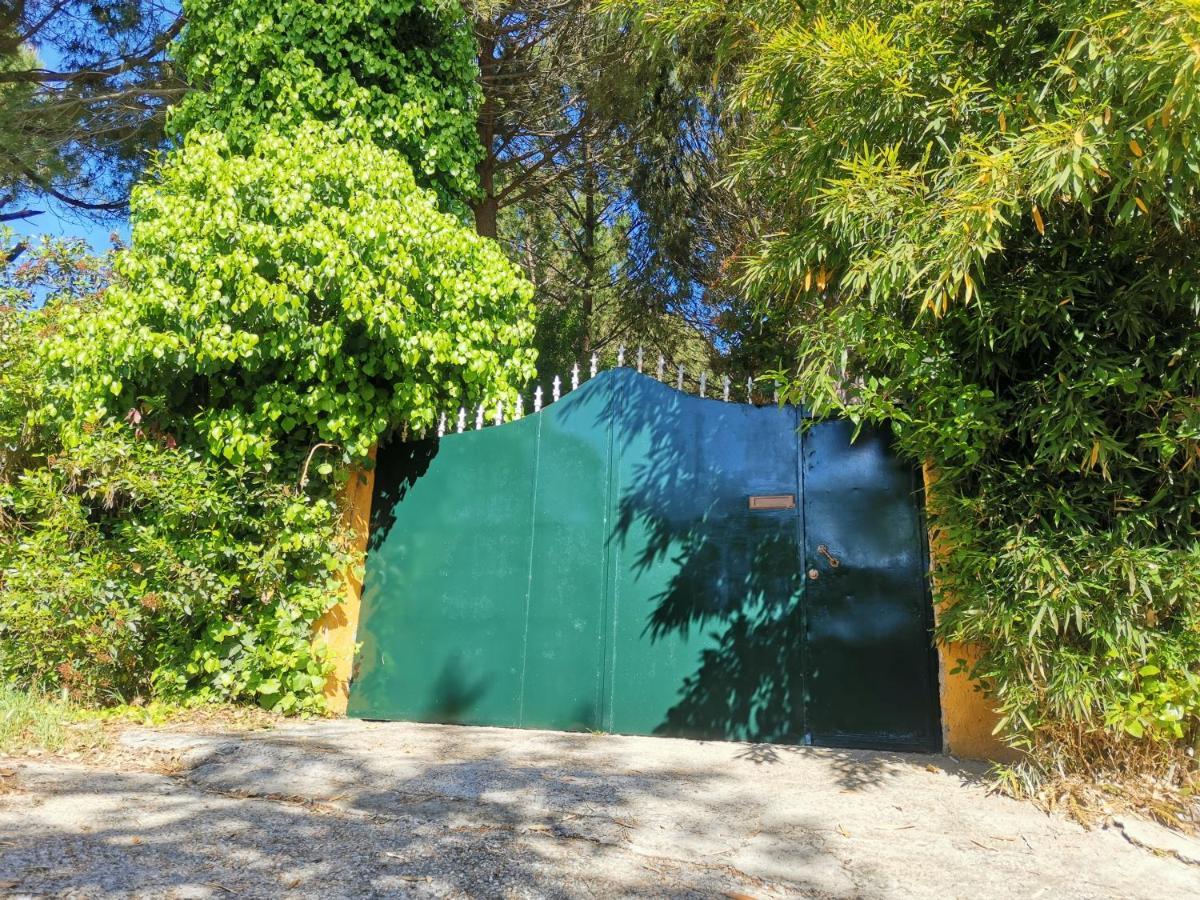 Finca Rural Labriega Del Hueznar Cazalla de la Sierra Dış mekan fotoğraf