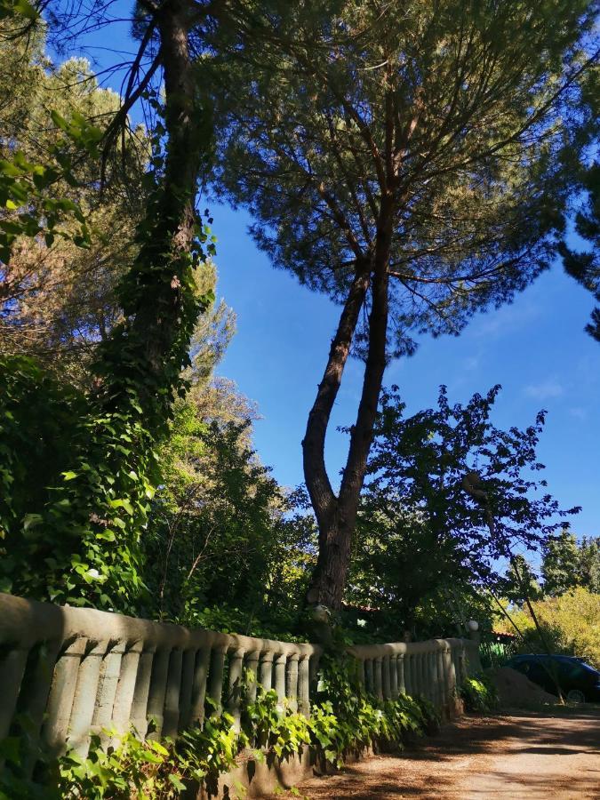 Finca Rural Labriega Del Hueznar Cazalla de la Sierra Dış mekan fotoğraf