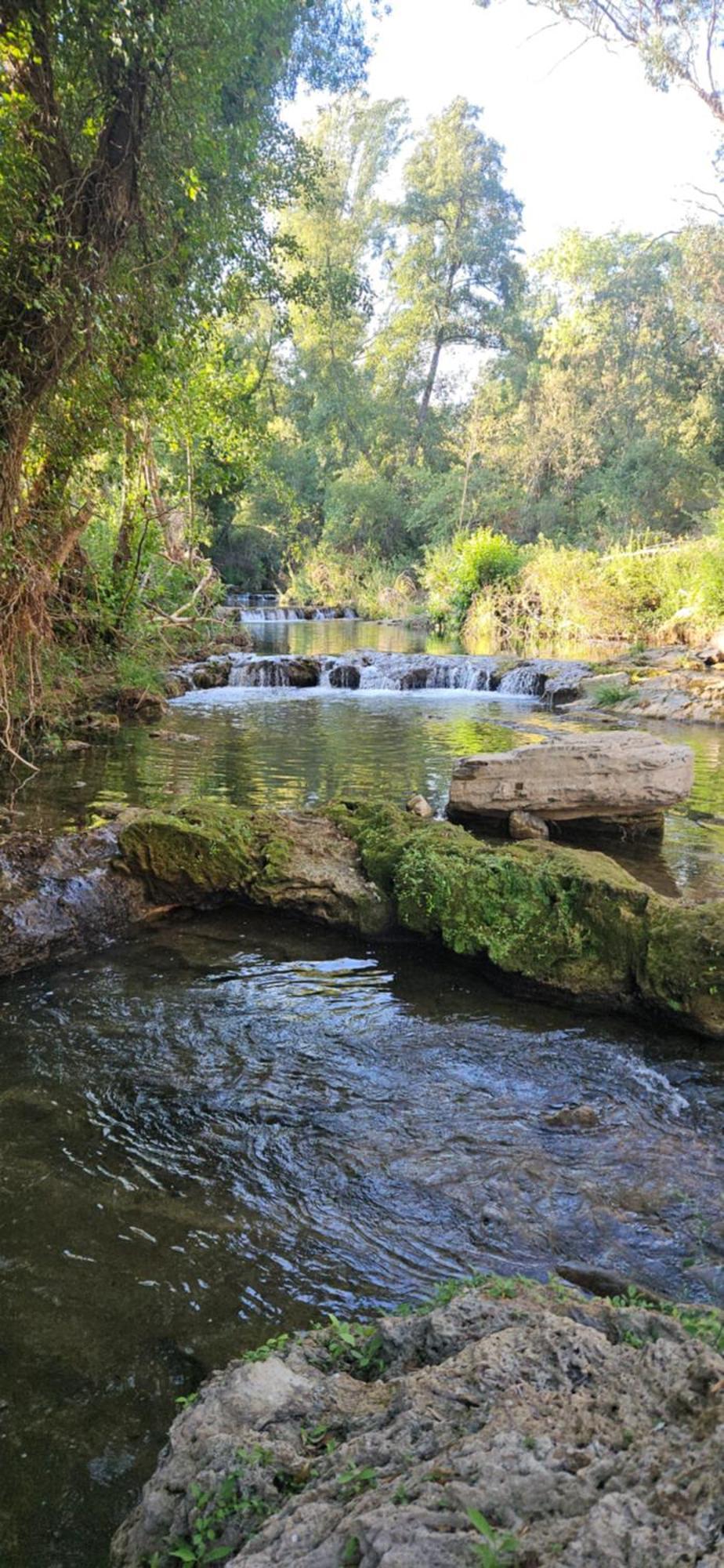 Finca Rural Labriega Del Hueznar Cazalla de la Sierra Dış mekan fotoğraf